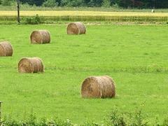 走进大自然！魅族M9手机高清风景壁纸