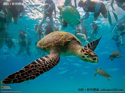 12月13日超细腻画质精品素材壁纸大推荐