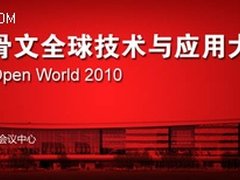 林杨：构建中国数字城市的三个层次
