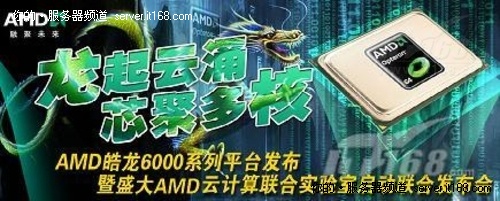 处理器五：AMD皓龙6100系列