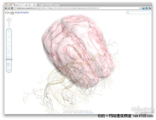 谷歌推出人体浏览器展示3D人体模型(图)