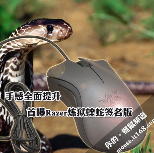 全球仅此一个 Razer炼狱蝰蛇定制版图赏