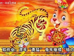 软件业：虎年“勇猛”兔年继续“给力”