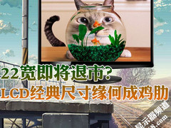 22宽即将退市？LCD经典尺寸缘何成鸡肋