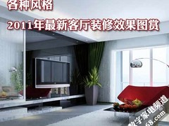 各种风格 2011年最新客厅装修效果图赏