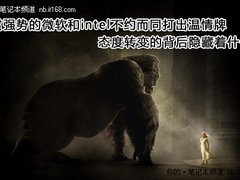 巨头态度悄然转变 2011或成行业分水岭
