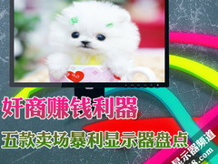 奸商赚钱利器 五款卖场暴利显示器盘点