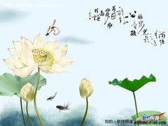 01月19日超细腻画质精品素材PS免费下载