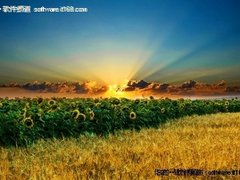 01月25日超细腻画质精品素材PS免费下载