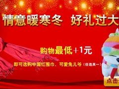 给力2011养维康打造保健营销市场新案例