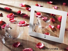 爱国者电影本不凋谢的玫瑰 情人节热销