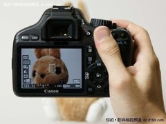 单反最佳伴侣 佳能500D小套仅售4100元