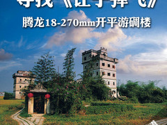 最佳旅游镜 腾龙18-270mm遍历开平碉楼