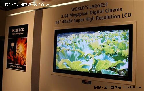 裸眼3d 超高分辨率 未来显示器发展猜想