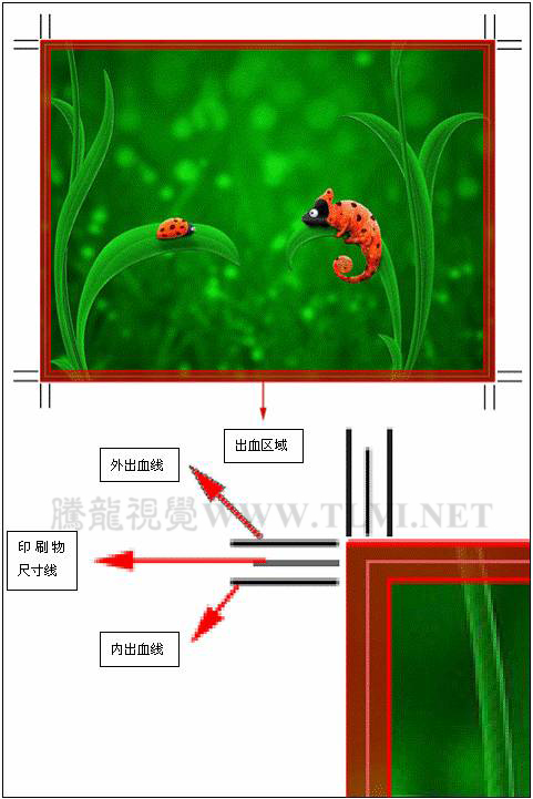 印刷知识初学者的必读教程:详解出血线