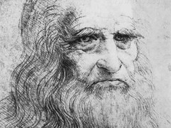 有多少开发人员是超过四十岁的呢？