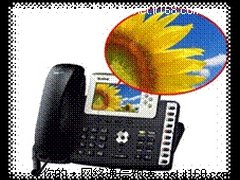 IP电话彩屏时代 领先的用户体验