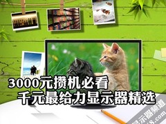 3000元攒机必看 千元最给力显示器精选
