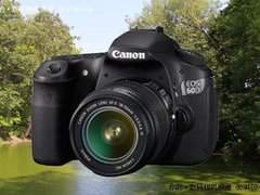 佳能EOS 60D 18-135mm单头套机仅售8700