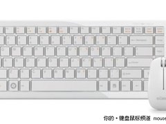 春天里加薪愿望 班德无线键鼠套装E500