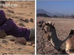 Discovery发现之旅全记录 