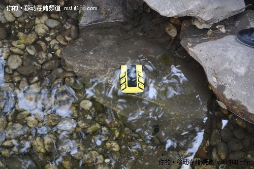 ���޲����壺ˮ�ؽ��ݡ�����������