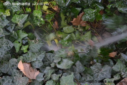 ���޲���������ѹˮǹ��ϴ��������