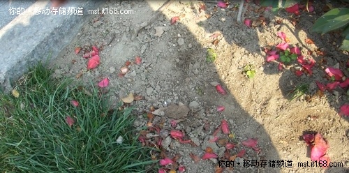 ���޲����ģ��������ܲ��ԡ�������