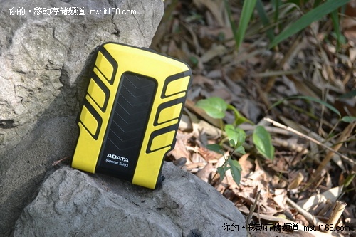 ���޲�������10��¥�ݵ�����ԡ���