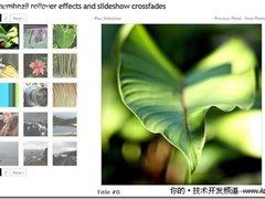 建立唯美图片特效 十个jQuery插件分享