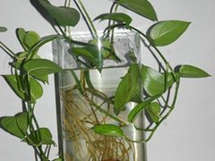 教你鉴别分辨Garmin手持GPS水货与行货
