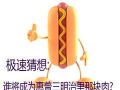 极速猜想:谁将成为惠普三明治里那块肉?