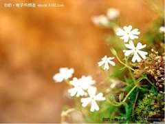 清明时节 用盛大Bambook探寻古韵  