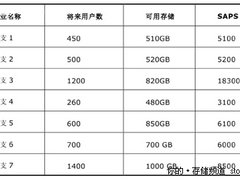 某石化公司SAP项目存储管理和备份方案
