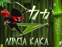 新奇益智 水果忍者带你体验忍者精神