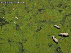 上帝的视角 从高空俯瞰大地的惊艳之美