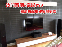 冷门音响+索尼PS3 潮流搭配组家庭影院