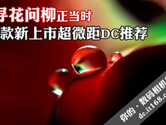 寻花问柳正当时 5款新上市超微距DC推荐