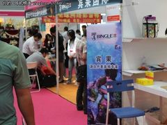 宾果亮相第十九届中国（深圳）展览会