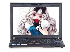 i3芯高清商用本 ThinkPad X201i报5950