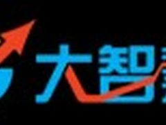 “大智慧”的管理智慧：牵手致远上协同