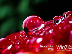 微软官方Windows7新主题下载：水滴壁纸