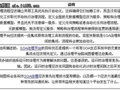 SOA治理平台的五大实践 首先要确定流程