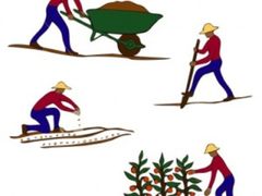 你不是软件工程师而是软件园丁！