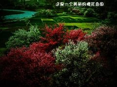 音响变身恐龙蛋？看网友创意蛋族大集合