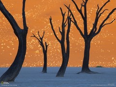 《国家地理杂志》2011年六月壁纸精选