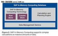 SAP HANA：下一代实时业务分析