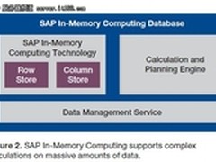 SAP HANA：下一代实时业务分析