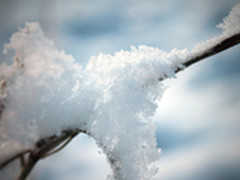 伴您清凉一夏 六月最清爽高清壁纸精选