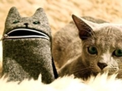 相机套也卖萌 饥饿猫咪iPod/iPhone周边
